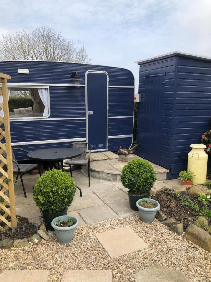 Down The Garden Path Vintage Caravan B&B , Dartmoor Newton Abbot Esterno foto