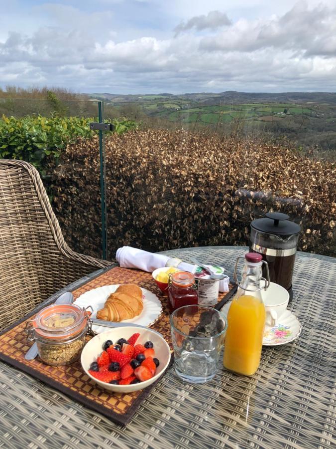 Down The Garden Path Vintage Caravan B&B , Dartmoor Newton Abbot Esterno foto