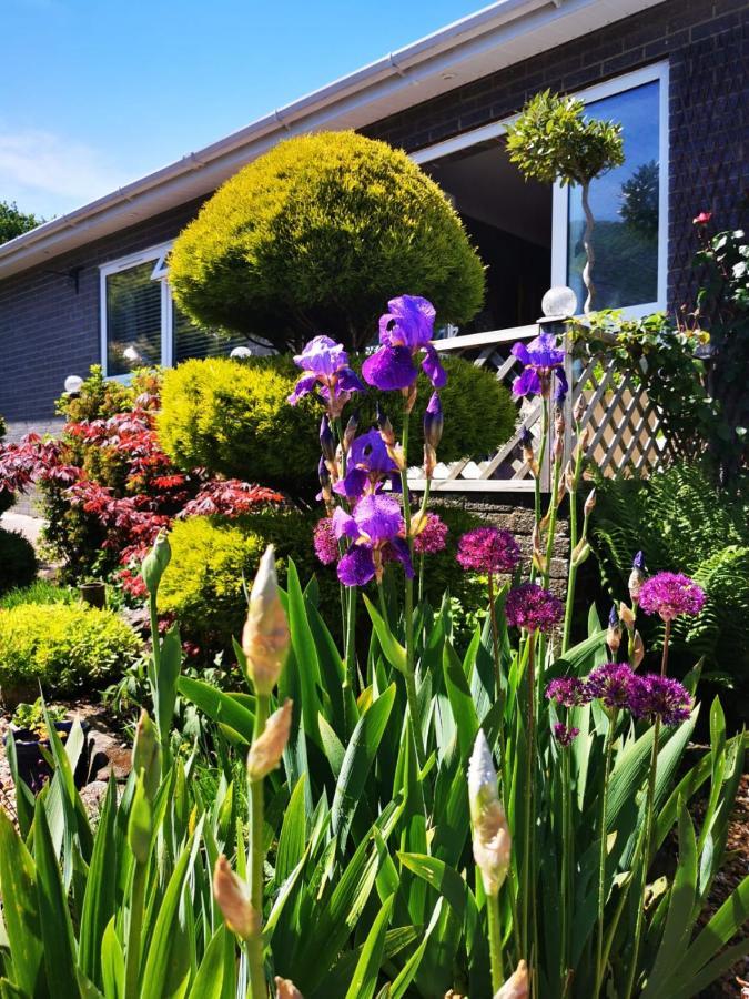 Down The Garden Path Vintage Caravan B&B , Dartmoor Newton Abbot Esterno foto