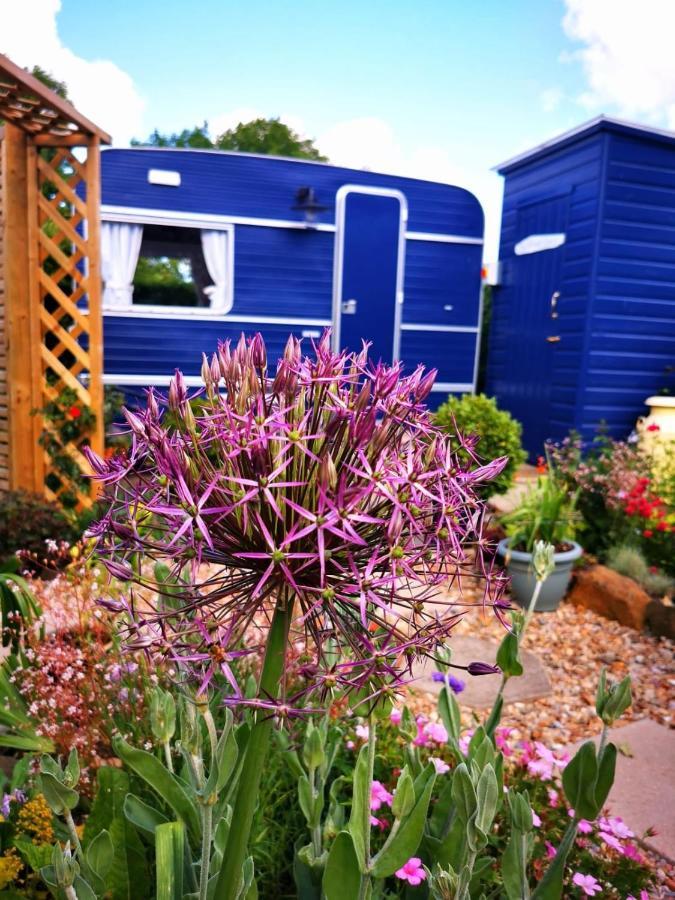 Down The Garden Path Vintage Caravan B&B , Dartmoor Newton Abbot Esterno foto