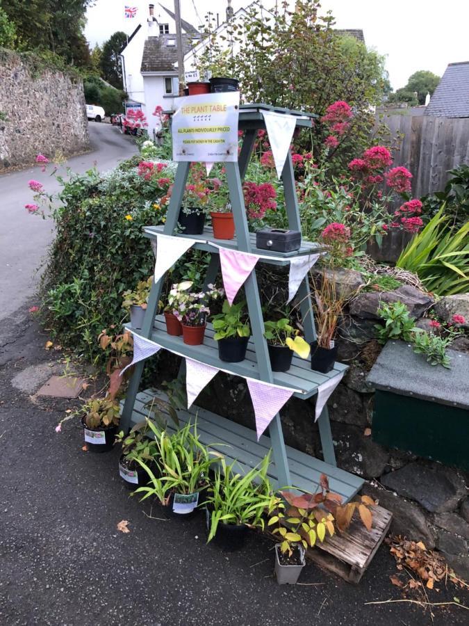 Down The Garden Path Vintage Caravan B&B , Dartmoor Newton Abbot Esterno foto