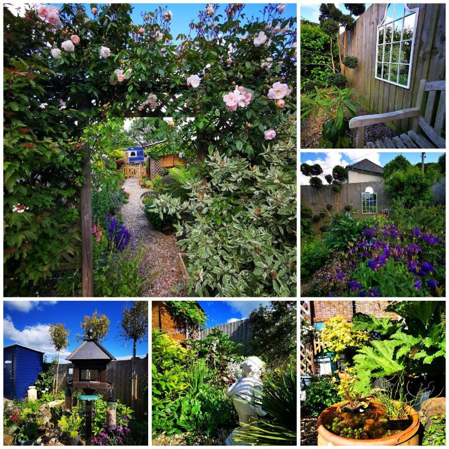 Down The Garden Path Vintage Caravan B&B , Dartmoor Newton Abbot Esterno foto